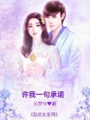 许我一个小承诺什么歌