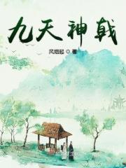 九天神剑碟