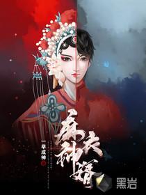 九天神婿