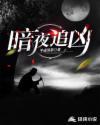 暗夜追凶短剧免费观看