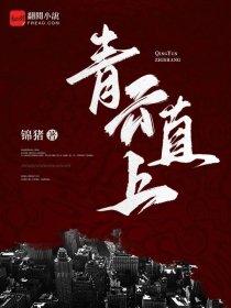 大明王朝1566 电视剧