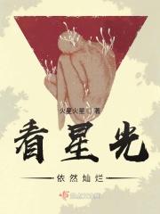 星光依旧灿烂的歌词