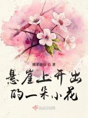 悬崖上开出的一朵小花是什么