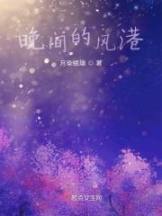 夜晚的风的歌词