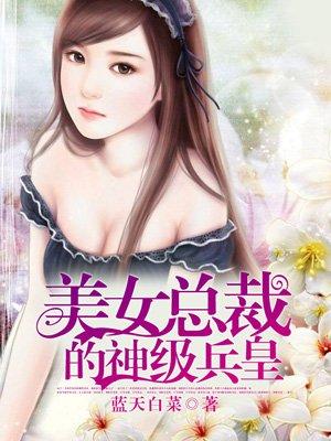 美女总裁的神级兵王叶枫免费