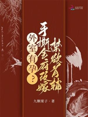 外室免费阅读全文