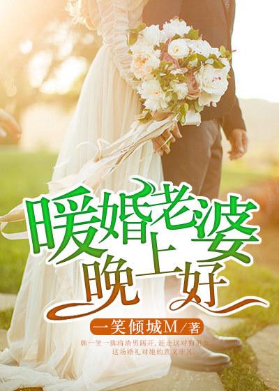老婆晚安问候