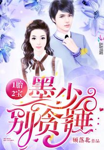 一胎二宝墨少全文免费阅读