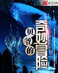 贝爷历险记