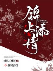 锦上添花什么意思?