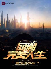 书名完美人生